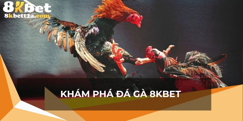 Khám phá sơ lược loại hình đá gà 8KBET